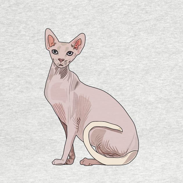 Sphynx cat cartoon illustration by Miss Cartoon